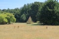 Woodland countryside in North Kent Royalty Free Stock Photo