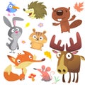 Woodland forest animals birds collection including bird, hedgehog, beaver, bunny rabbit, chipmunk, fox, mouse and moose elk Royalty Free Stock Photo