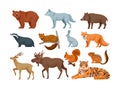 Woodland forest animals. Cute wild forest animals deer, wolf, brown bear, common fox, badger, sable, chipmunk, ussuri tiger,