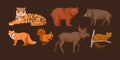Woodland forest animals set. Cute wild forest animals brown bear, common fox, sable, chipmunk, tiger, elk, wild boar, squirrel
