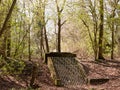 Woodland Forest with a Concrete and Iron Grate Royalty Free Stock Photo