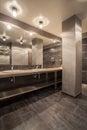 Woodland hotel - bathroom interior Royalty Free Stock Photo