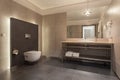 Woodland hotel - Modern bathroom Royalty Free Stock Photo