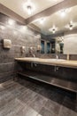 Woodland hotel - Public bathroom Royalty Free Stock Photo
