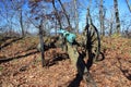 Woodland of Kennesaw Mountain