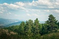 Woodland landscape in the black sea mountains in turkey