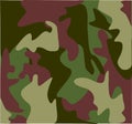 Woodland military camouflage