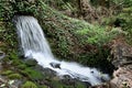 Woodland nature waterfall, soft water cascading in natural river in West Coast forest Royalty Free Stock Photo