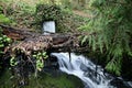 Woodland nature waterfall, soft water cascading in natural river in West Coast forest Royalty Free Stock Photo