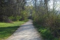 Woodland path