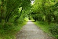 Woodland Path Royalty Free Stock Photo