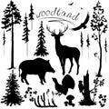 Woodland plants and animals set
