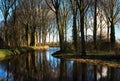 Woodland Scene, Damme, in Belgium