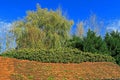 A woodland scene of old tiled rooftop and green trees Royalty Free Stock Photo