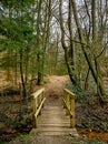 A woodland scene with a wooden foot bridge on a nature trail pathway Royalty Free Stock Photo