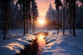 Woodland serenity during winter sunset, a picturesque natural tableau