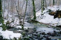 Woodland stream and winters snow.