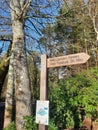 Woodland surrounding wooden sign pointing To World War one sculpture at Stover Country Park, Devon