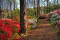 Woodland trail, Callaway Gardens, GA