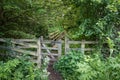 Woodland trail at Weldon Royalty Free Stock Photo