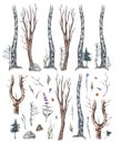 Woodland vintage style design elements. Watercolor hand drawn rural forest set with illustration of natural green trees