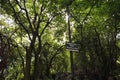 The woodland walk through Haggerston Park in the London Borough of Hackney , east London England