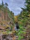 Woodland Walk Scotland Falls of Bruar Royalty Free Stock Photo