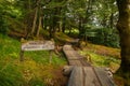 Woodland Walk Trail to the Famous Glenfinnan Viaduct View Point, Known from Harry Potter Movie Series, in Scotland