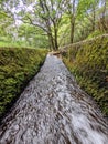 Woodland walks running water nature Royalty Free Stock Photo