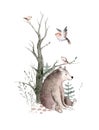 Woodland watercolor cute animals baby bear. Scandinavian bear orest nursery poster design. Isolated charecter Royalty Free Stock Photo