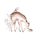 Woodland watercolor cute animals baby deer. Scandinavian cartoon forest nursery poster design. Isolated charecter