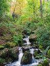 A little waterfall in a wooded forest Royalty Free Stock Photo