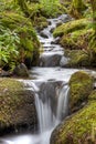 Woodland Waterfall