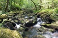 Woodland waterfall dartmoor devon uk Royalty Free Stock Photo