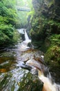 Woodland waterfall and mountain stream Royalty Free Stock Photo