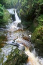 Woodland waterfall and mountain stream Royalty Free Stock Photo