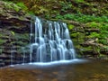 Woodland waterfall in Ricketts Glen State Park in Pennsylvania