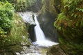 Waterfall on small river in forest ravine Royalty Free Stock Photo
