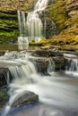 Woodland waterfall with small cascades.