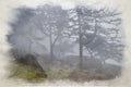 Woodland winter mist and fog digital watercolour painting at The Roaches, Staffordshire