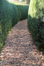 Woodland Woodchip Path. Royalty Free Stock Photo