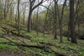 Woodlands Hills and Ravine of Flandrau State Park