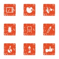 Woodless resident icons set, grunge style Royalty Free Stock Photo