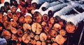woodlogs Royalty Free Stock Photo