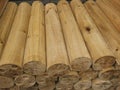 Woodlogs Royalty Free Stock Photo