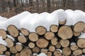 Woodlogs in the winter forest Royalty Free Stock Photo