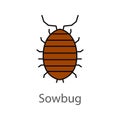 Woodlouse color icon