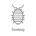 Woodlouse linear icon Royalty Free Stock Photo