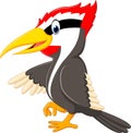 Woodpecker bird cartoon