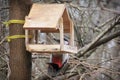 Woodpecker in the bird feeder. Woodpecker sits with a seed in his beak. Feeder in the form of a house tied to a tree